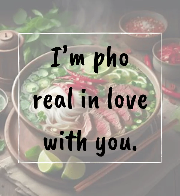 145 Pho Puns That will Make Your Bowl Overflow 2 Best pho puns