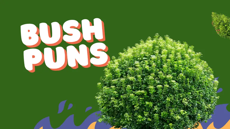 150 Bush Puns: Best Funny Cute and Short One Liners 1 BUSH PUNS