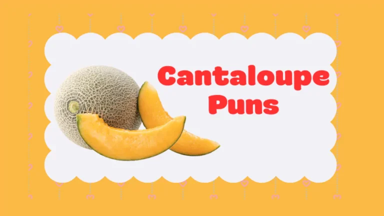150 Cantaloupe Puns That Are Simply A‑Melon‑ing 5 Cantaloupe Puns