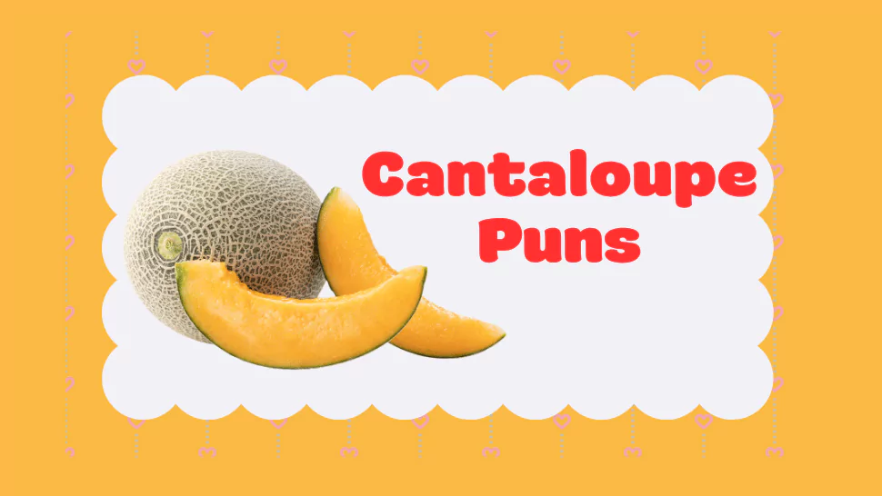 150 Cantaloupe Puns That Are Simply A‑Melon‑ing 1 Cantaloupe Puns