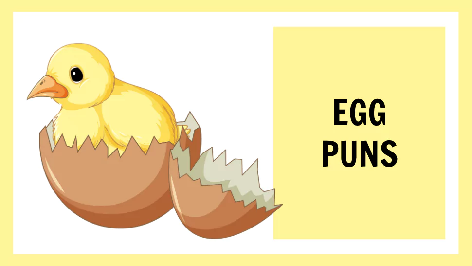100+ Egg Puns That will Crack You Up (Funny, Cute & More!) 1 Egg Puns