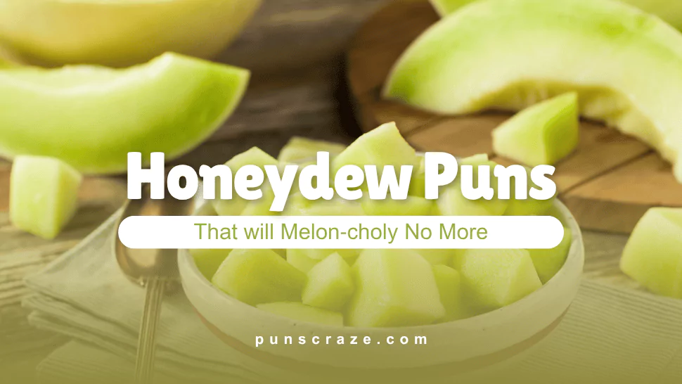 100+ Honeydew Puns That will Melon‑choly No More 1 Honeydew Puns