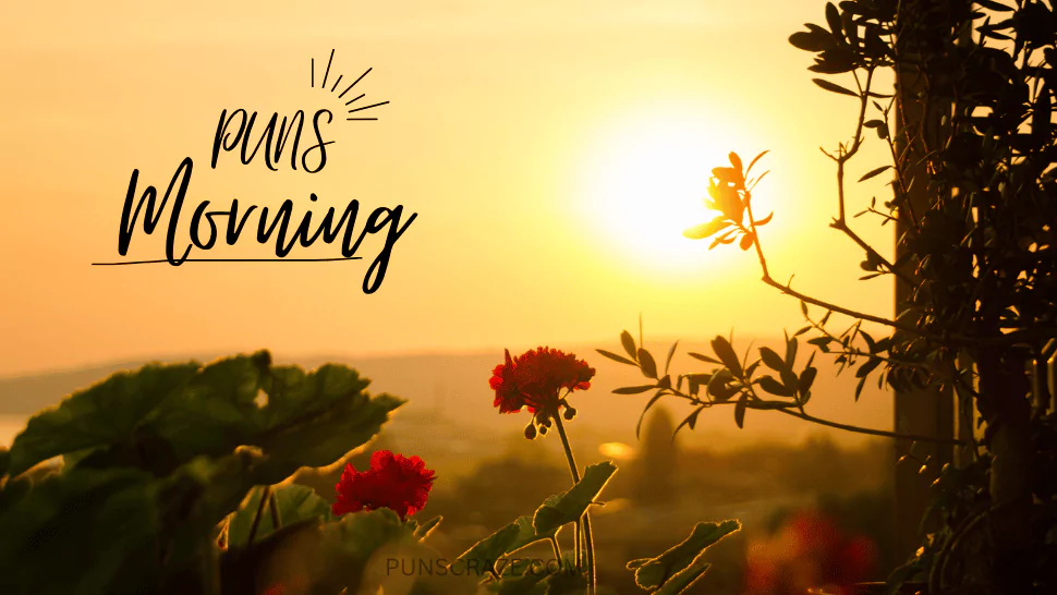 Warning: These Morning Puns May Cause Aggressive Snorting 1 Morning Puns