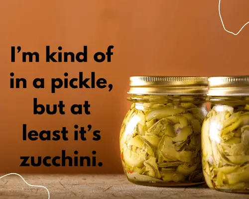 Zucchini Puns That will Have You Laughing Out of Your Gourd 2 Best Zucchini Puns