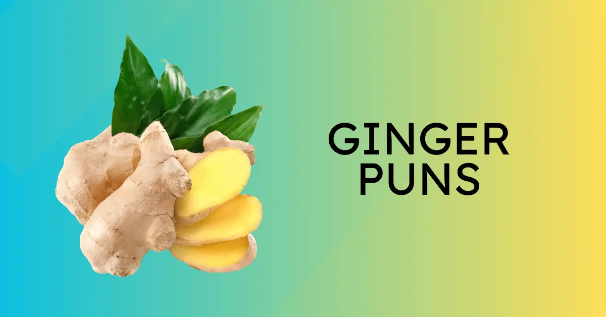 70 Best Ginger Puns That will Spice Up Your Day 1 Ginger Puns