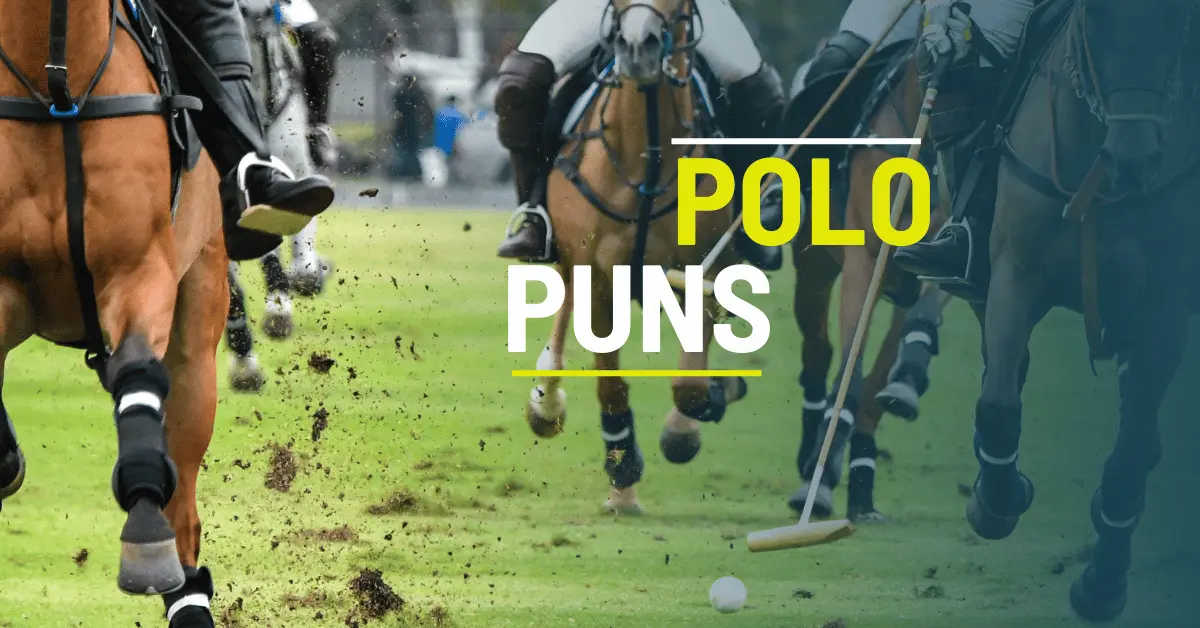 119 Polo Puns That will Have You Horsin Around 1 Polo Puns