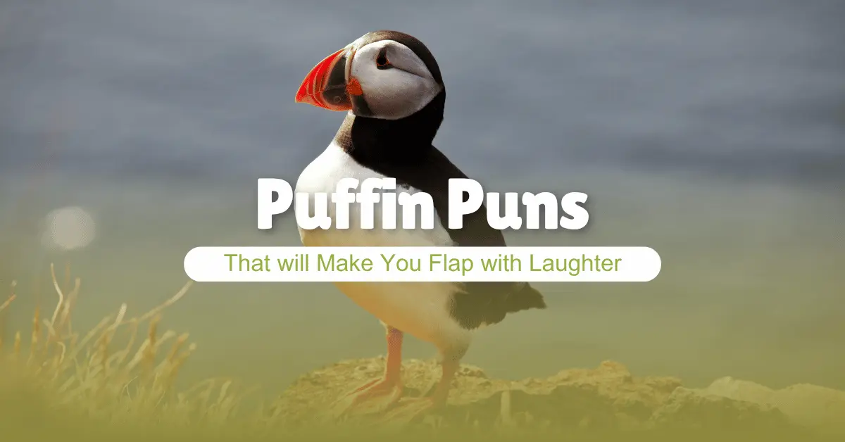 119 Puffin Puns That will Make You Flap with Laughter 1 Puffin Puns