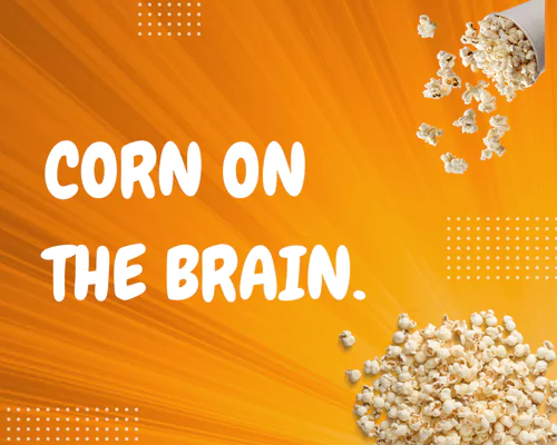 138 Best Corn Puns That Are A-Maize-ingly Funny 2 Best Corn Puns