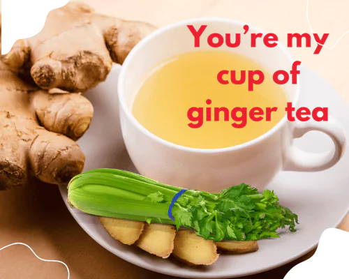 70 Best Ginger Puns That will Spice Up Your Day 2 Best Ginger Puns