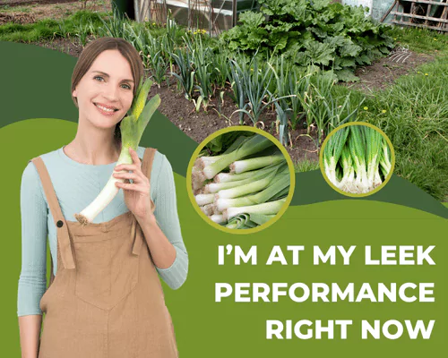 119 Leek Puns That will Make You Cry… From Laughing 2 Best Leek Puns