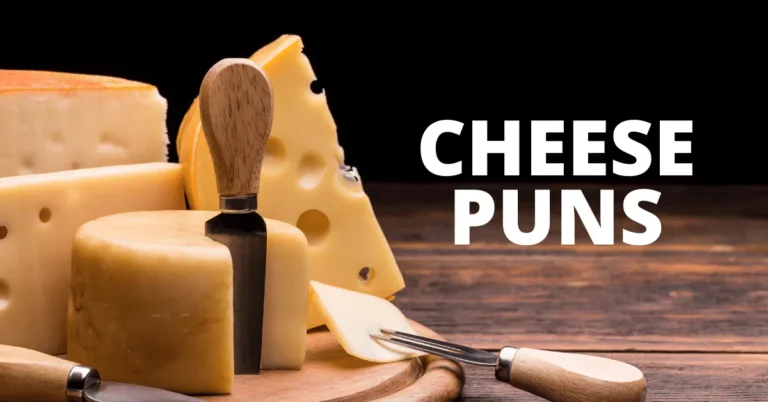 139 Cheese Puns That will Make You Melt with Laughter 5 Cheese Puns