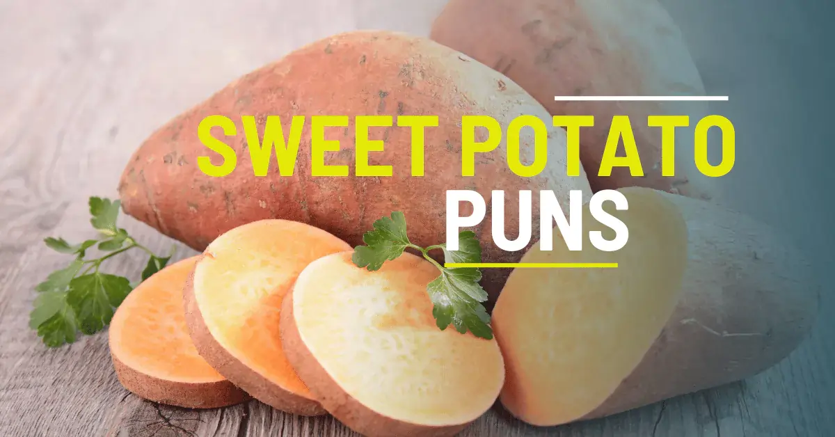 70 Sweet Potato Puns That will Make You Yam With Laughter 1 Sweet Potato Puns