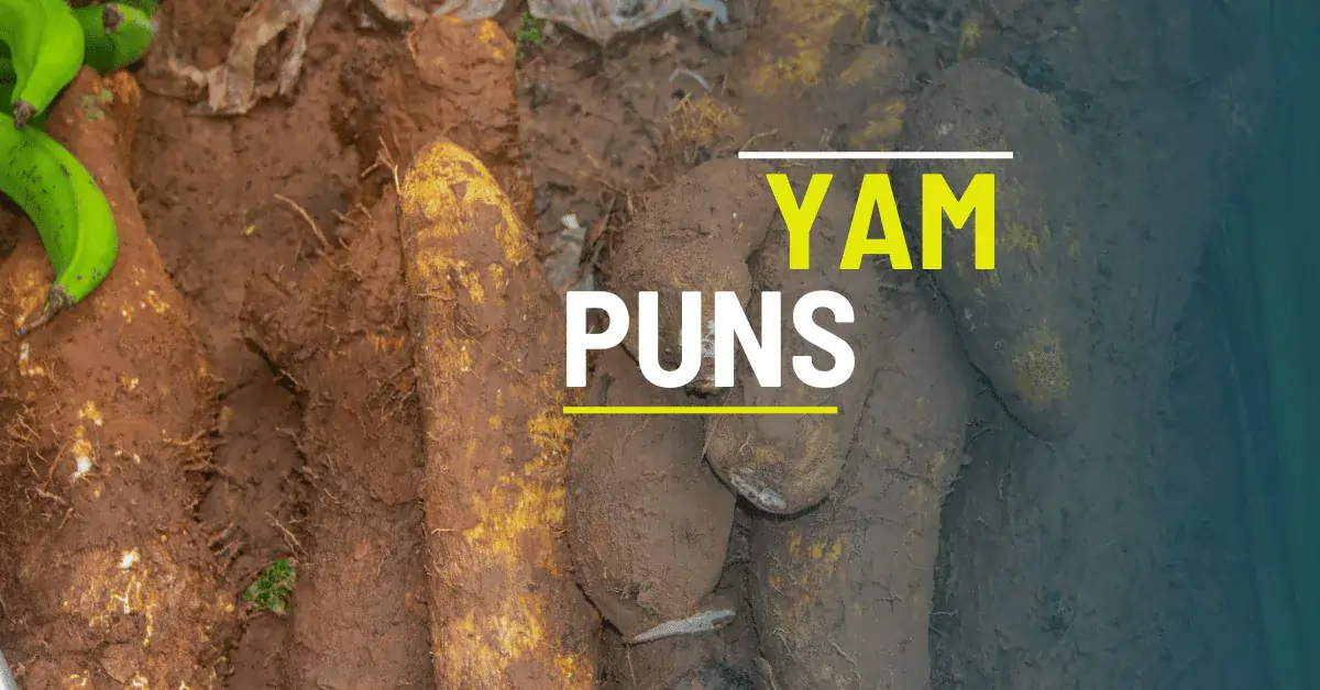 70 Yam Puns That will Make You Laugh Til You are Mashed 1 Yam Puns