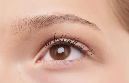 How a Porter Ranch Optometrist Can Help Protect Your Eye Health 1 How a Porter Ranch Optometrist Can Help Protect Your Eye Health
