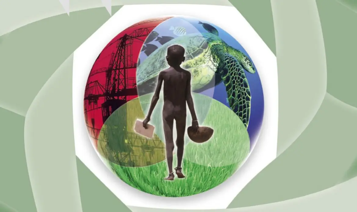 Environmental Impact Studies and Reporting Explained