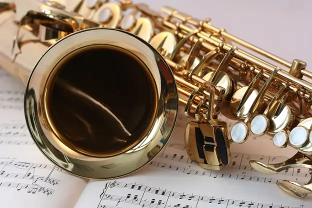 Expert Tips for Choosing a Tuba for Your Musical Instrument Needs