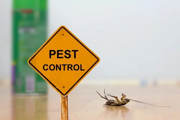 Reliable Pest Control Business Solutions and Services