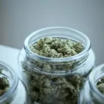 Premium Cannabis Dispensary Experience with Expert Guidance