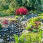 Structural Fluidity and the Science of Arid Transitions